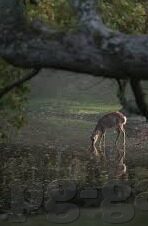 关岛足球队比分-关岛足球队比分背后的拼搏与成长，从弱旅到坚韧象征