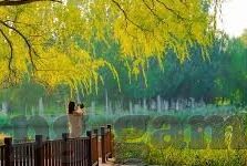 足球最比分-足球比分，绿茵场上的数字交响曲，激情与梦想的实时刻度